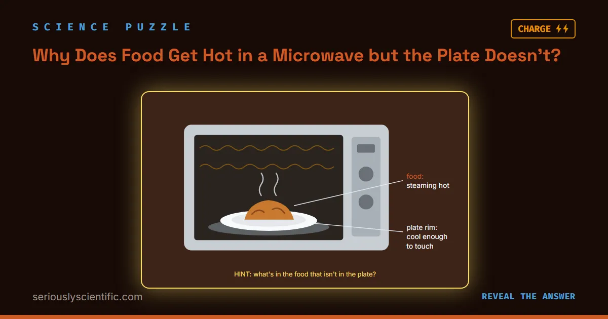 Why Does Food Get Hot in a Microwave but the Plate Doesn’t?