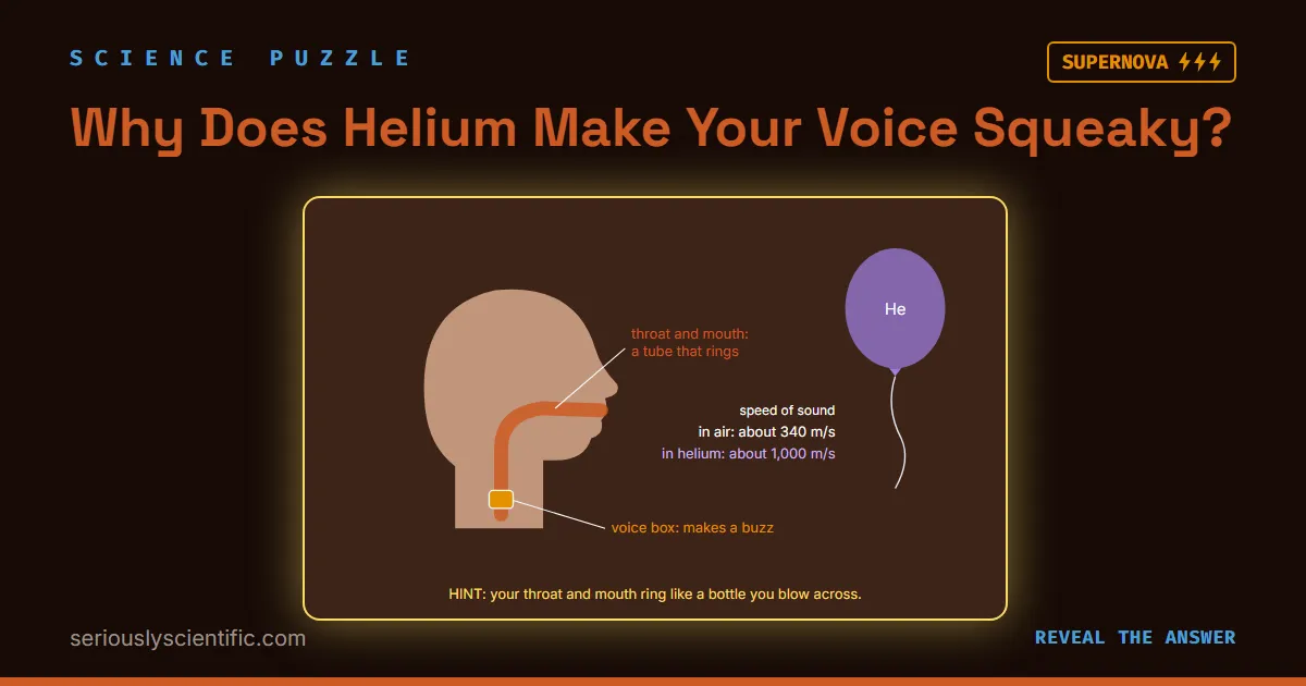 Why Does Helium Make Your Voice Squeaky?