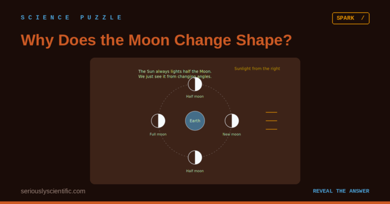 Why Does the Moon Change Shape?