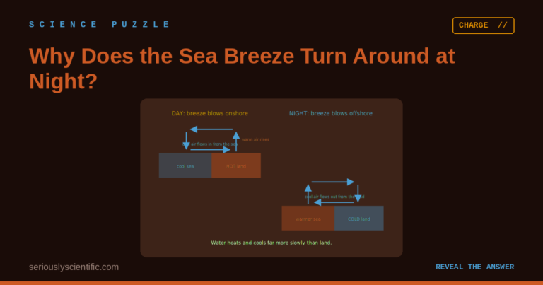 Why Does the Sea Breeze Turn Around at Night?