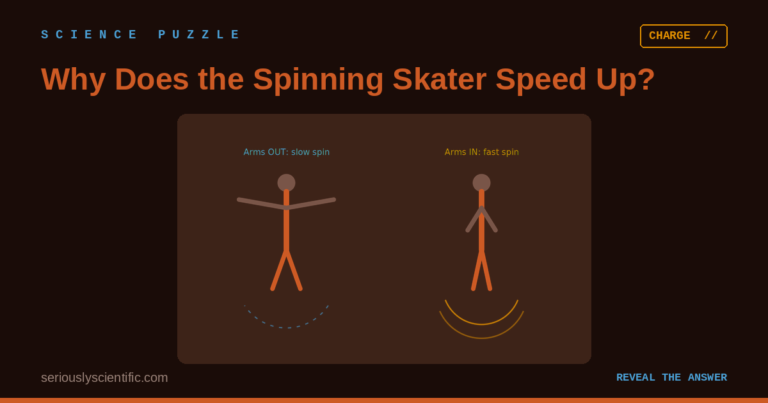 Why Does the Spinning Skater Speed Up?