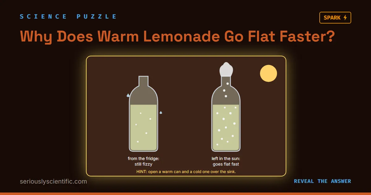 Why Does Warm Lemonade Go Flat Faster?