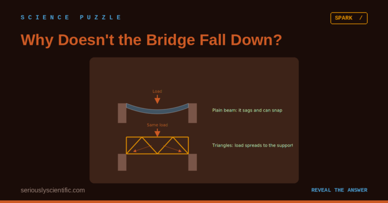 Why Doesn’t the Bridge Fall Down?