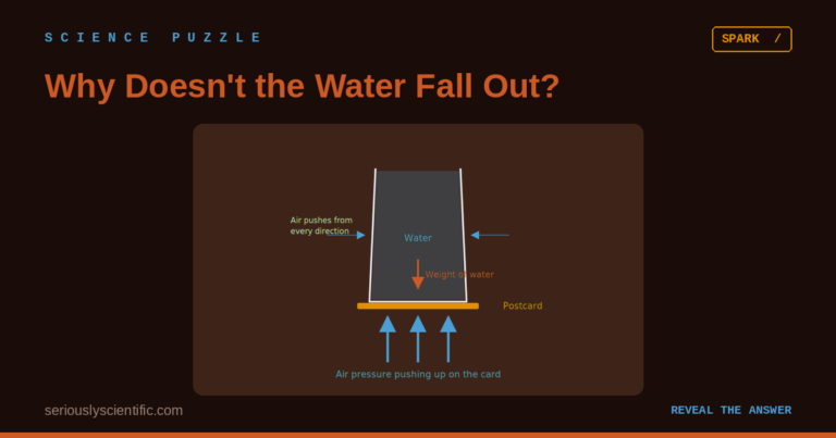 Why Doesn’t the Water Fall Out?