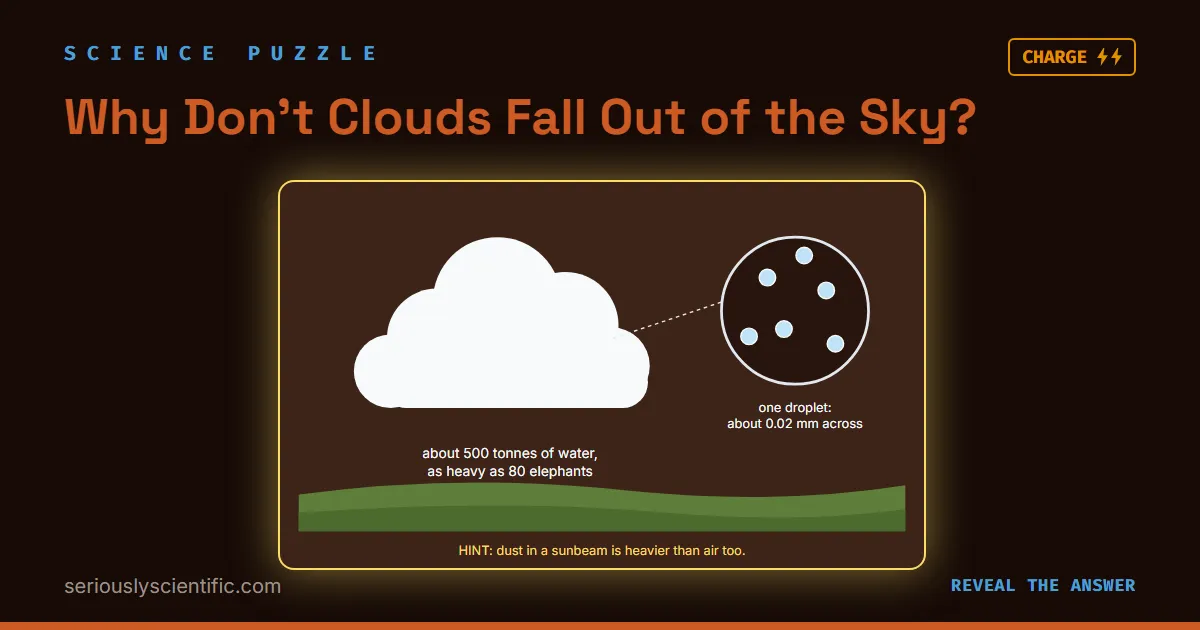 Why Don’t Clouds Fall Out of the Sky?
