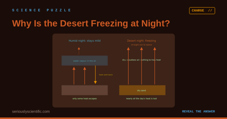 Why Is the Desert Freezing at Night?