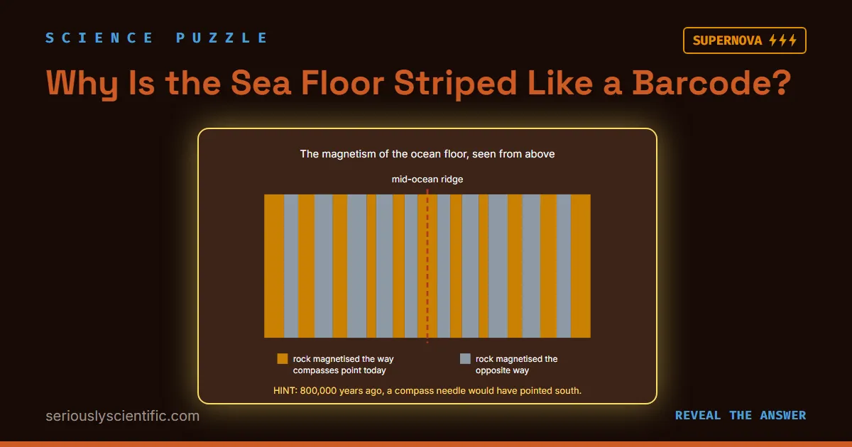 Why Is the Sea Floor Striped Like a Barcode?