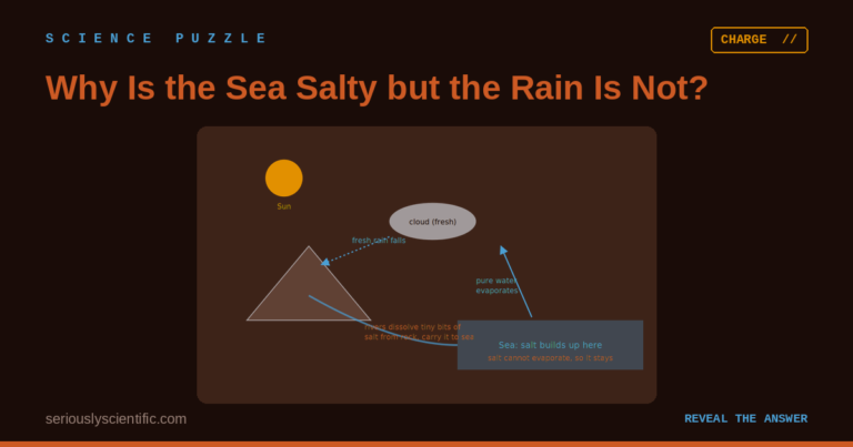 Why Is the Sea Salty but the Rain Is Not?